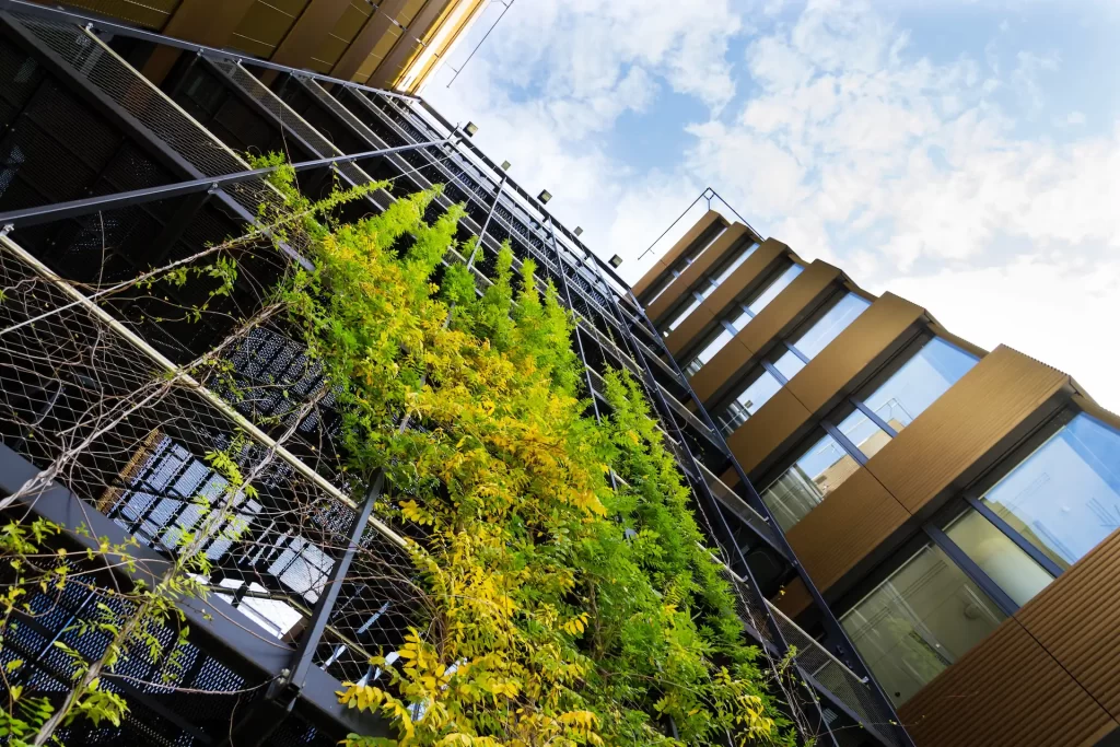 Exterior de un alojamiento ecológico con paneles solares y jardín sostenible